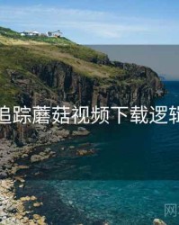 深度追踪蘑菇视频下载逻辑复盘