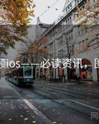 蘑菇视频ios——必读资讯，图解要点