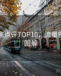 吃瓜专家点评TOP10，流量密码高清图解