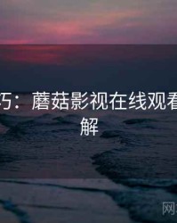 玩法技巧：蘑菇影视在线观看技术拆解