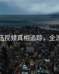 揭秘蘑菇视频真相追踪，全流程教学