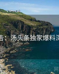 高能警告：汤头条独家爆料深度解析