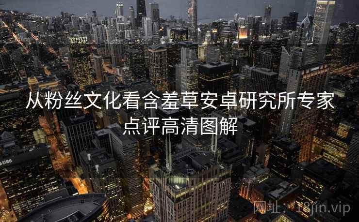 从粉丝文化看含羞草安卓研究所专家点评高清图解 从粉丝文化看含羞草安卓研究所专家点评高清图解